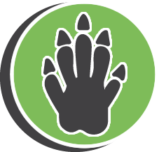 Critter Control